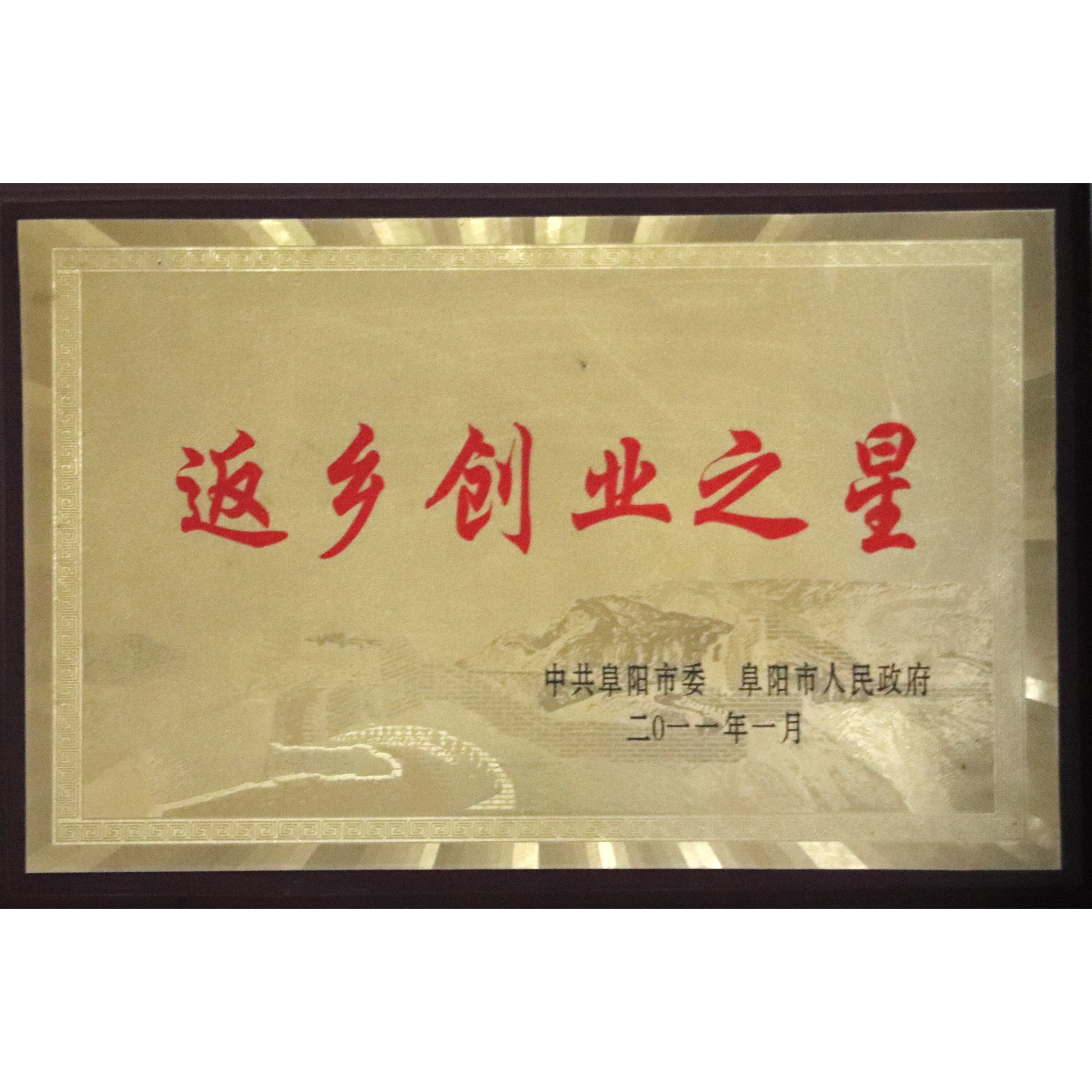 返乡创业之星